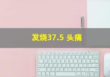 发烧37.5 头痛